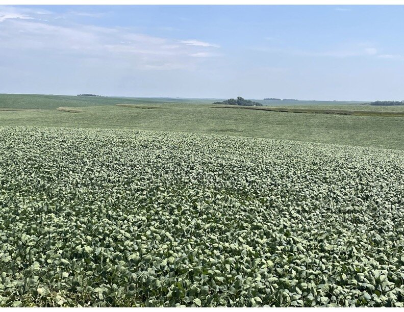 Image for 140+/- Acres in Wayne County, NE