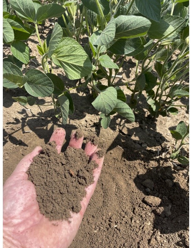 Image for 140+/- Acres in Wayne County, NE