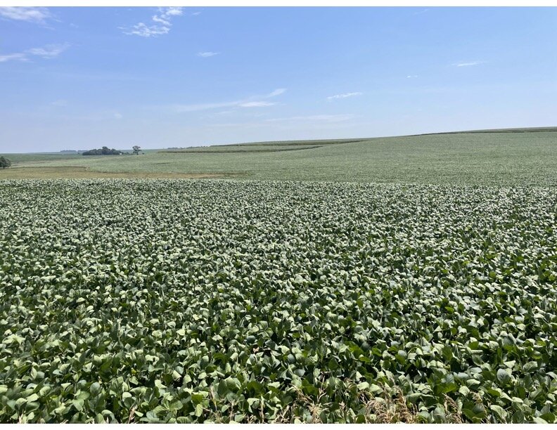 Image for 140+/- Acres in Wayne County, NE