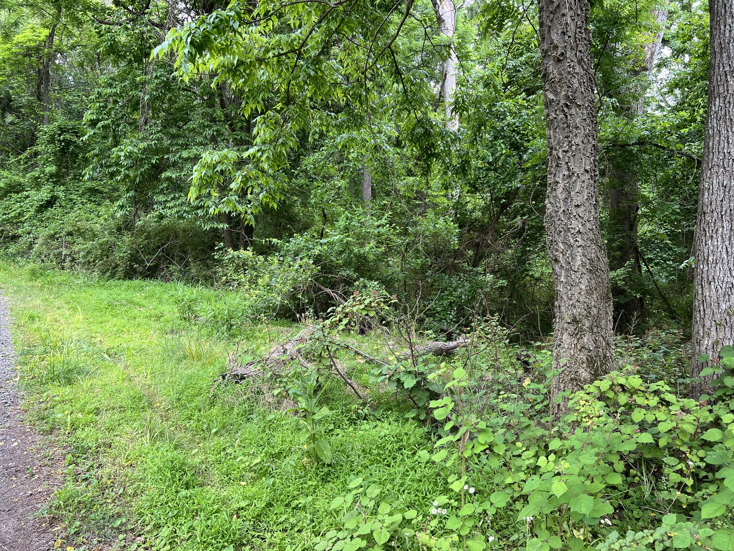 Image for 3.95 +/- Acres Featuring 8 Building Lots w/All Water & Sewer Tap Fees PAID in Fauquier County, VA--ONLINE BIDDING ONLY!!!