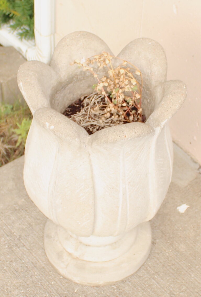 Image for ESTATE AUCTION