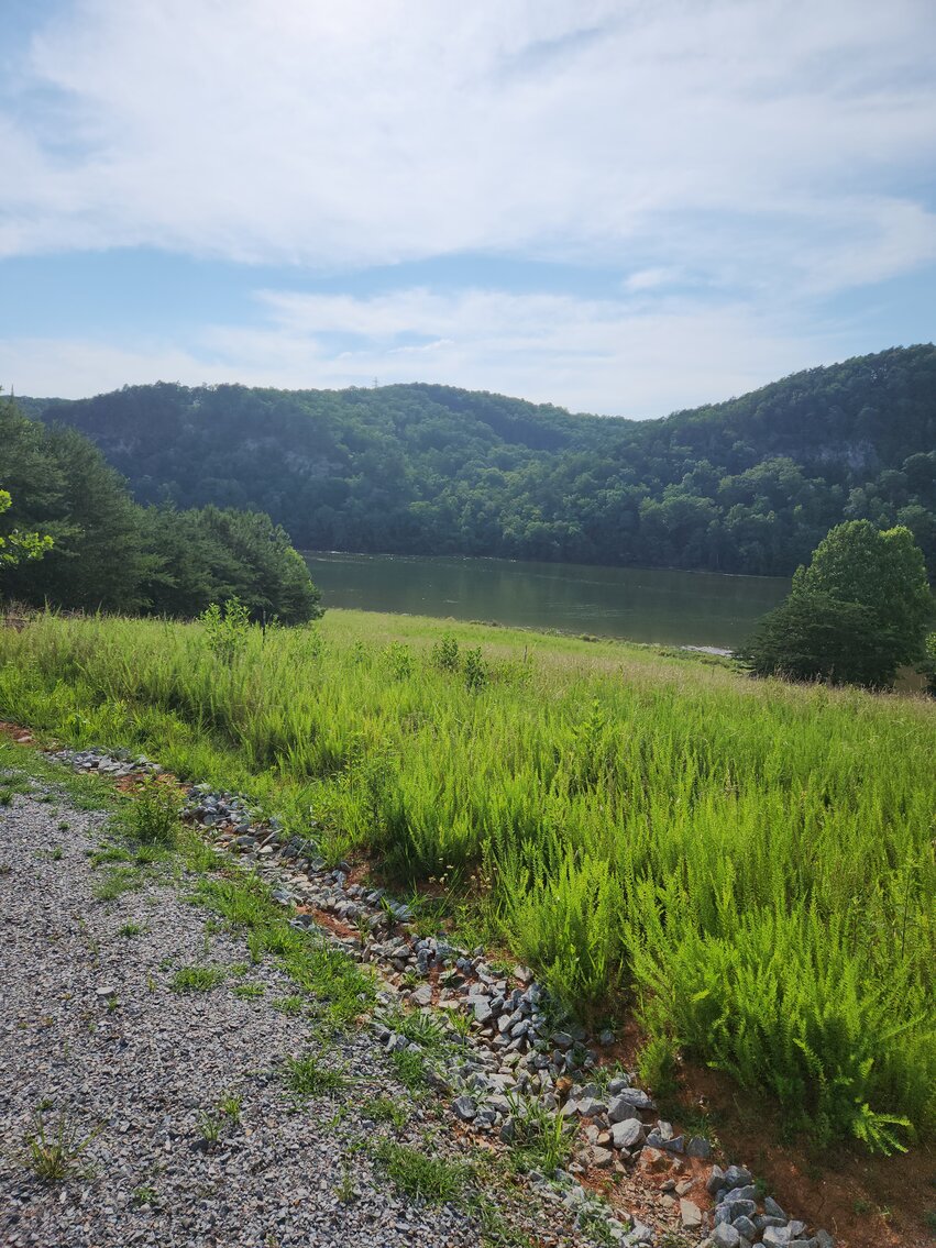 Real Estate Auction Residential Lot on Leesville Lake, VA