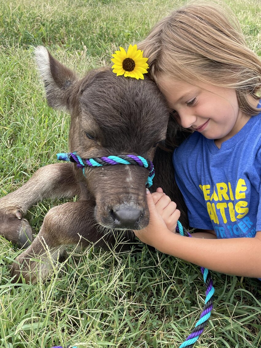 Image for Jones Livestock Auction THURSDAY, JULY 13th - Jones, Oklahoma