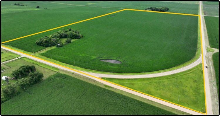 Image for Closed - Faribault Co., MN - 80.00 Ac., m/l (190-0186-01)