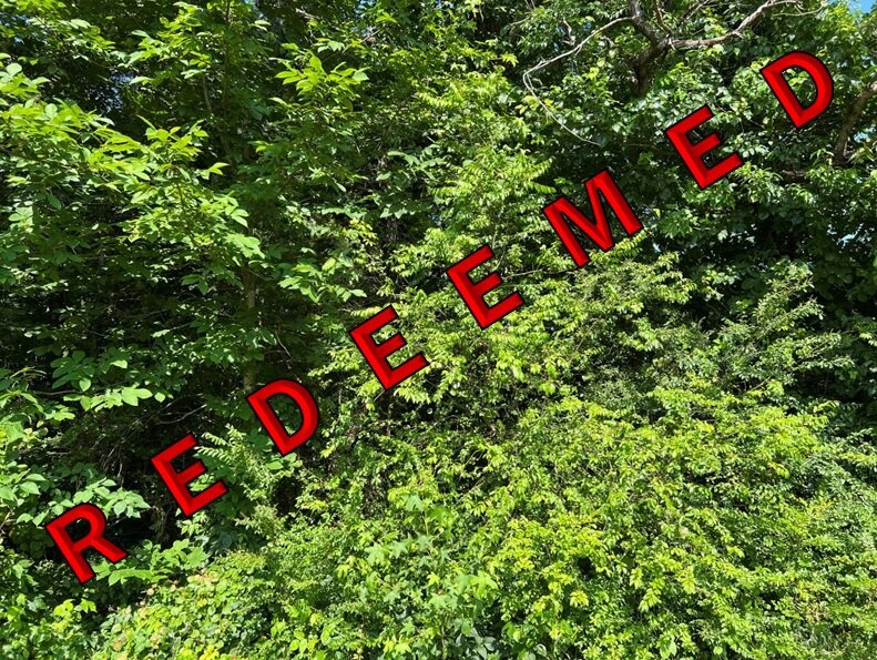 Image for Northumberland County, VA Sale of Tax Delinquent Real Estate