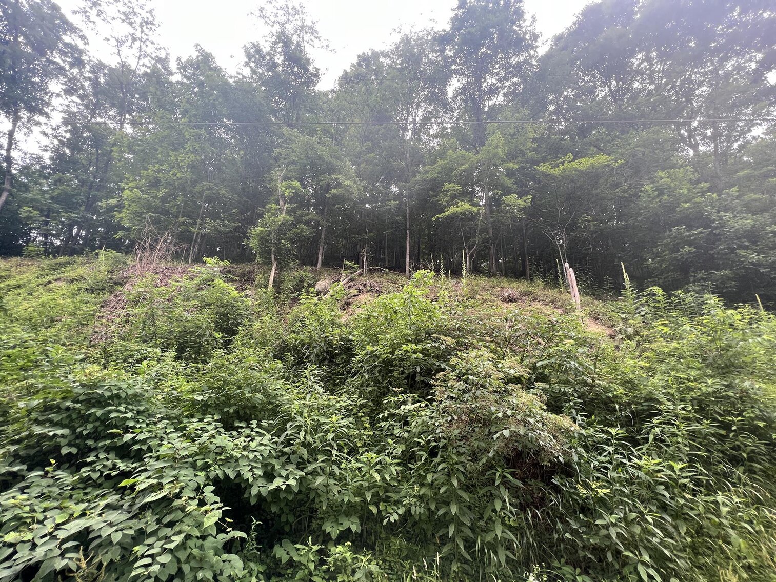 Image for SOLD $20,900 - Over 30 Acres Selling to the Highest Bidder