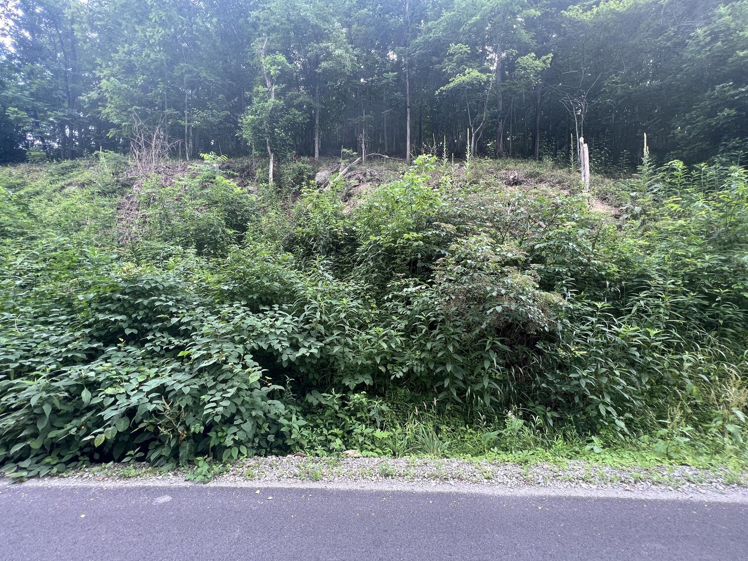 Image for SOLD $20,900 - Over 30 Acres Selling to the Highest Bidder