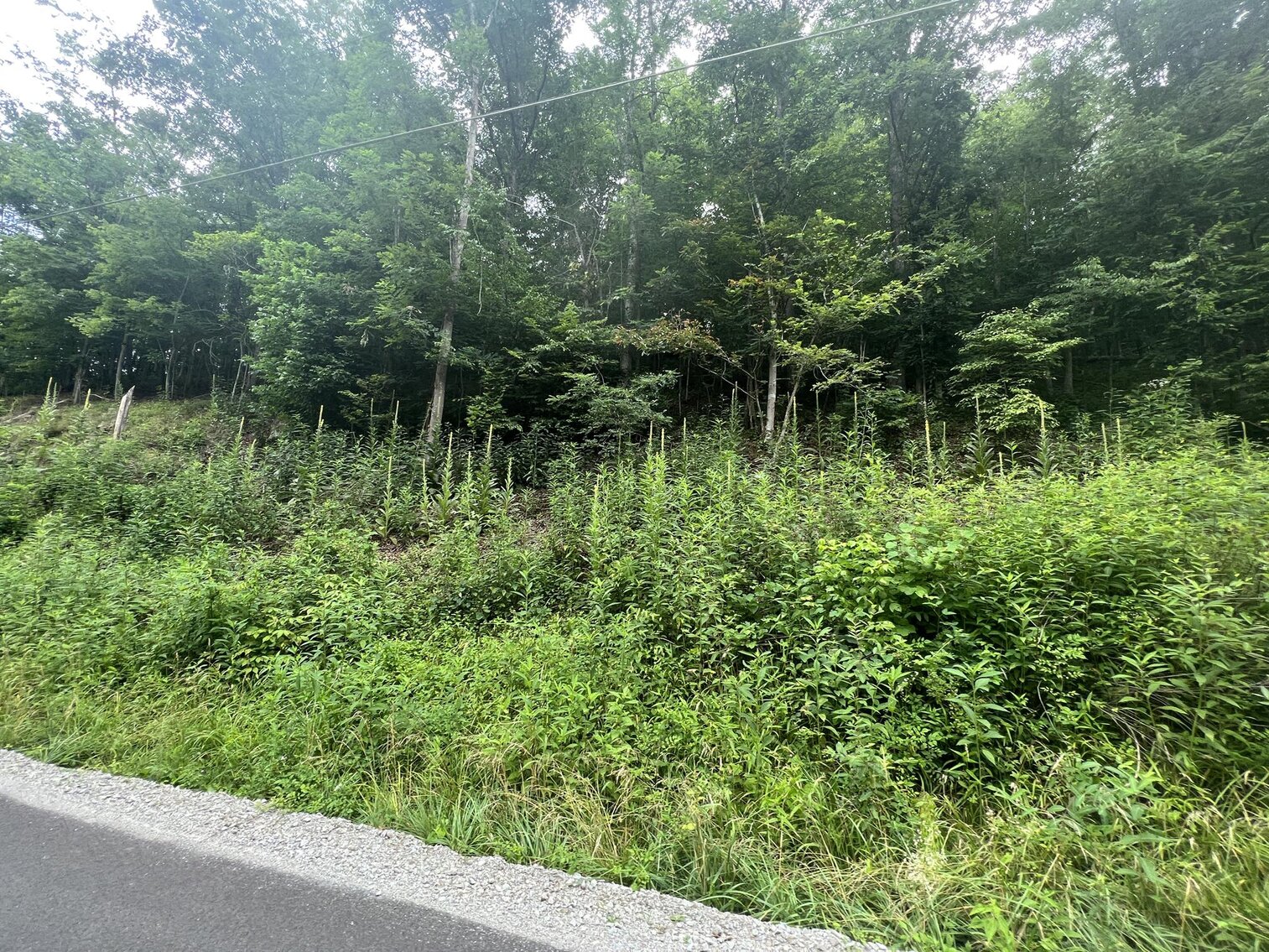 Image for SOLD $20,900 - Over 30 Acres Selling to the Highest Bidder