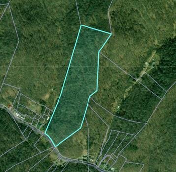 Image for SOLD $20,900 - Over 30 Acres Selling to the Highest Bidder