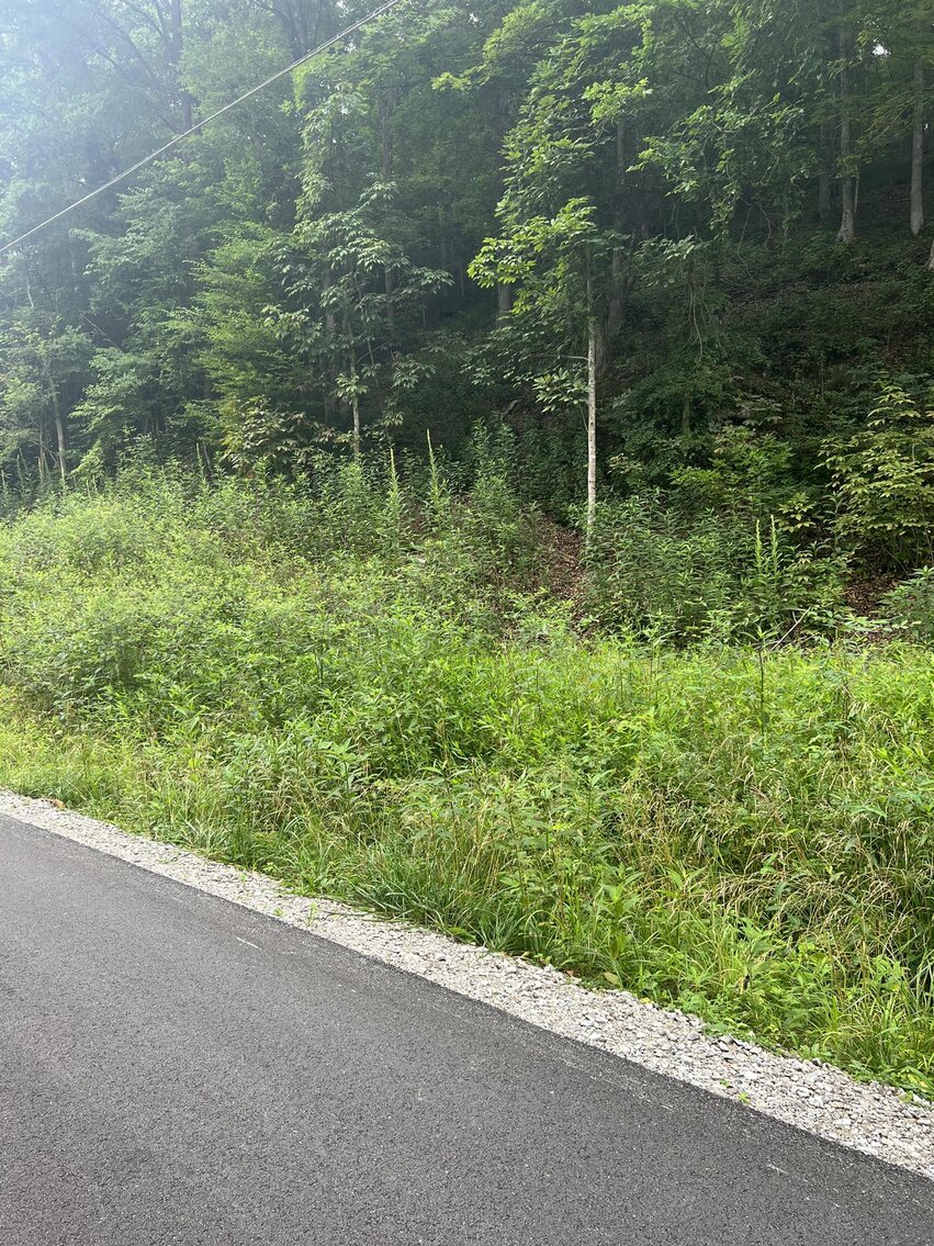 Image for SOLD $20,900 - Over 30 Acres Selling to the Highest Bidder