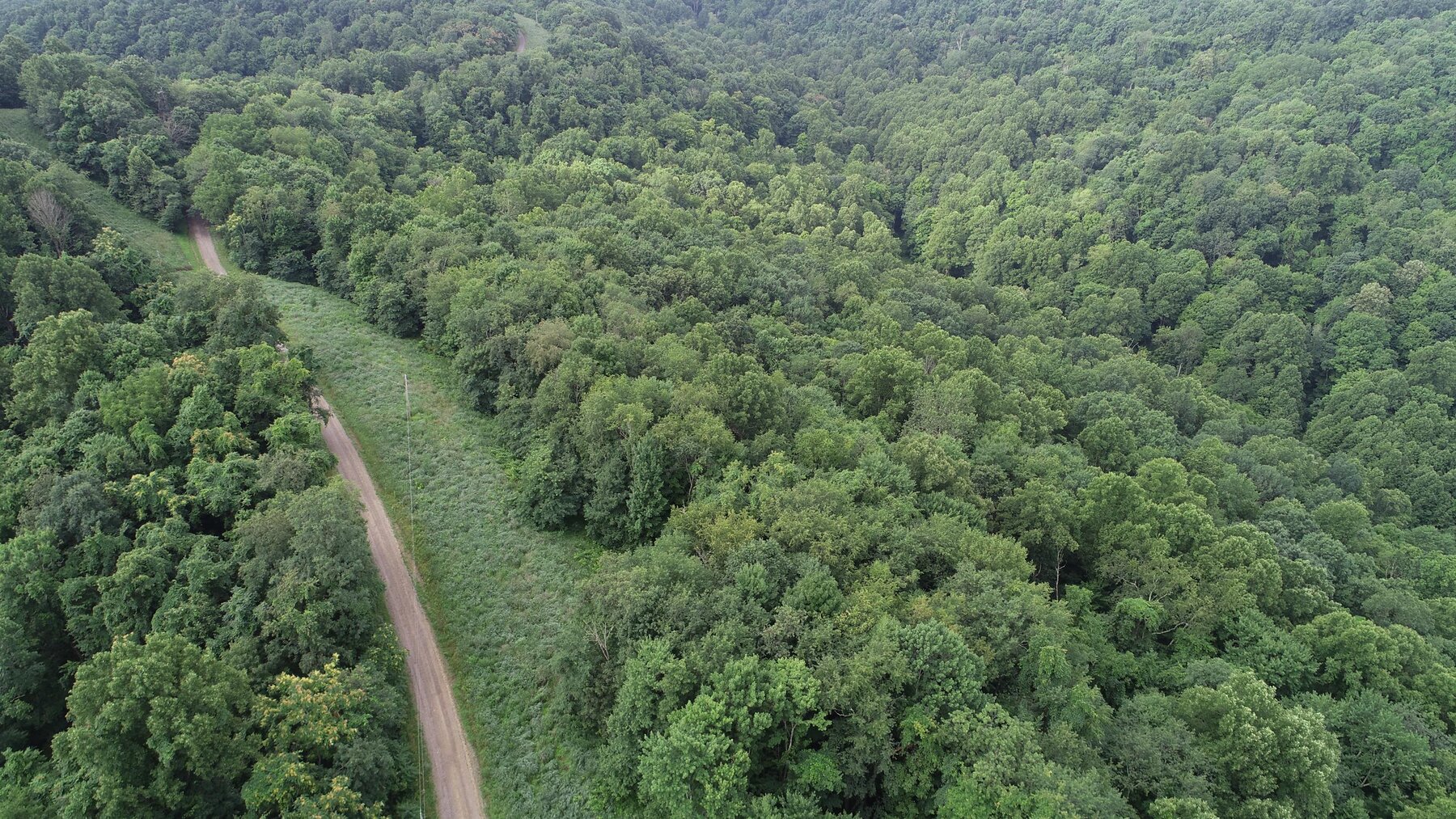 Image for SOLD $35,750 - 20.5 Wooded Acres Selling to the Highest Bidder