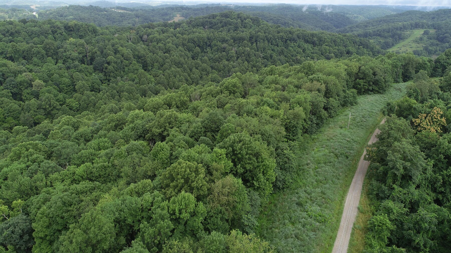 Image for SOLD $35,750 - 20.5 Wooded Acres Selling to the Highest Bidder