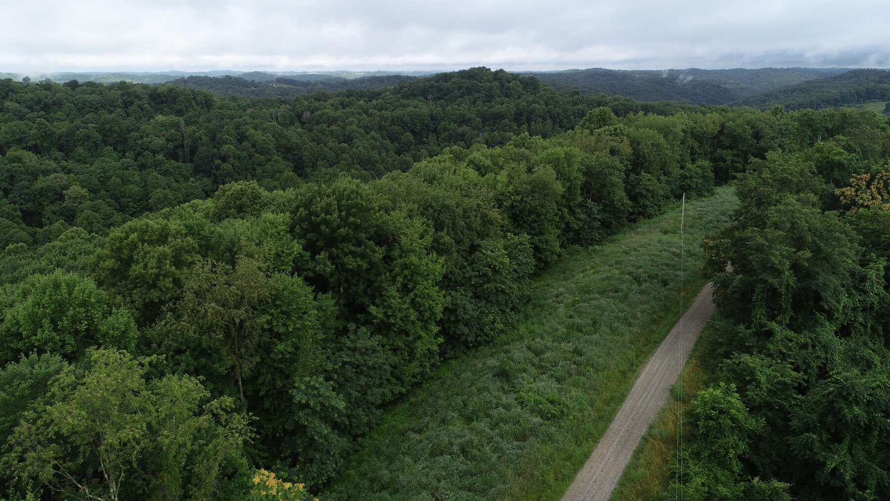 Image for SOLD $35,750 - 20.5 Wooded Acres Selling to the Highest Bidder