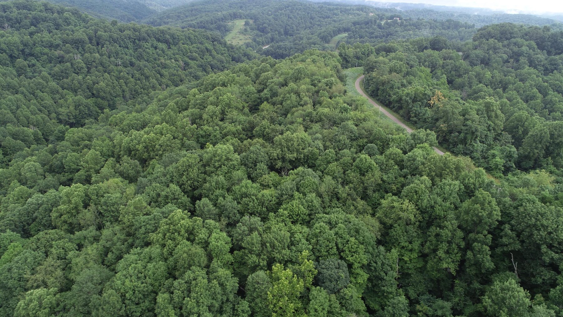 Image for SOLD $35,750 - 20.5 Wooded Acres Selling to the Highest Bidder