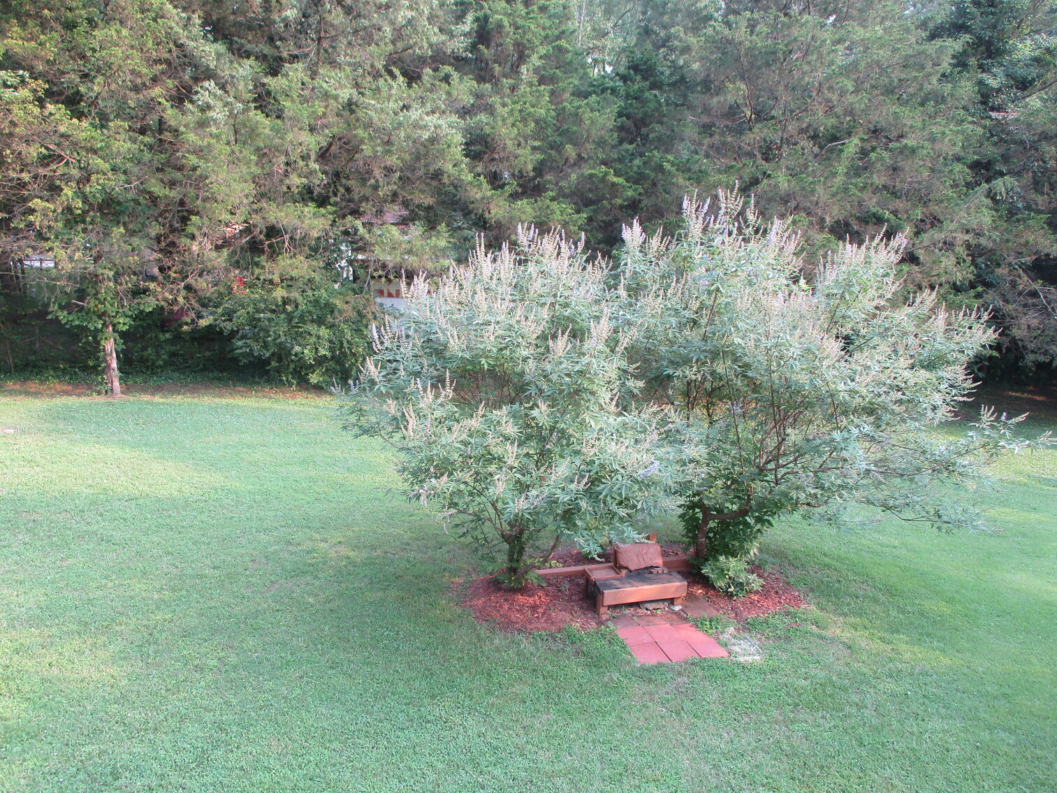 Image for 109  B St,  Brookneal, VA  24528