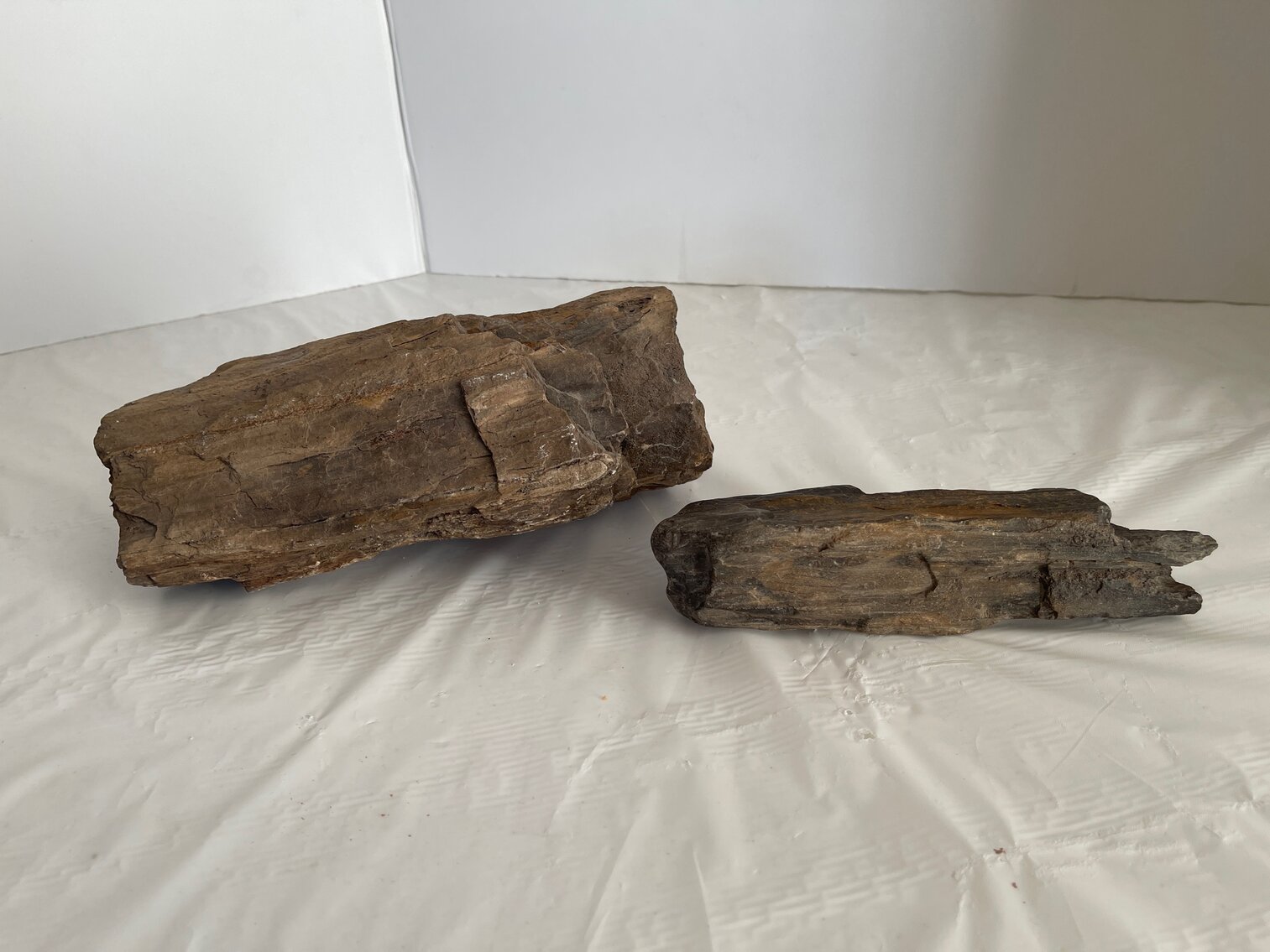 Petrified wood - two pieces