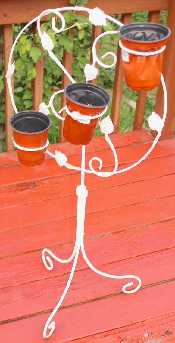 Image for LIVING ESTATE AUCTION