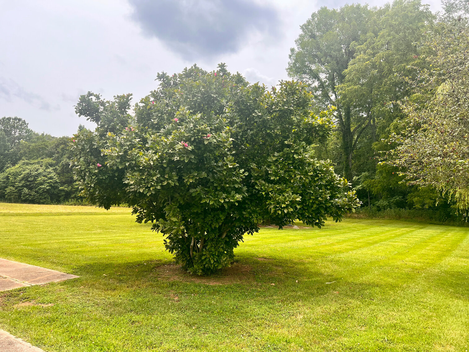 Image for 4620 Nashville Highway, Chapel Hill