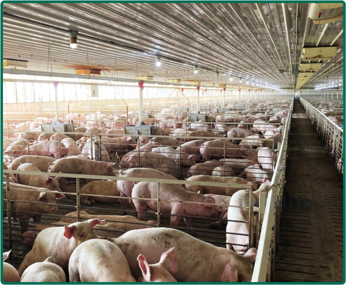 Image for Closed - Floyd Co., IA - 3.20 Ac., m/l (020-0525-04)