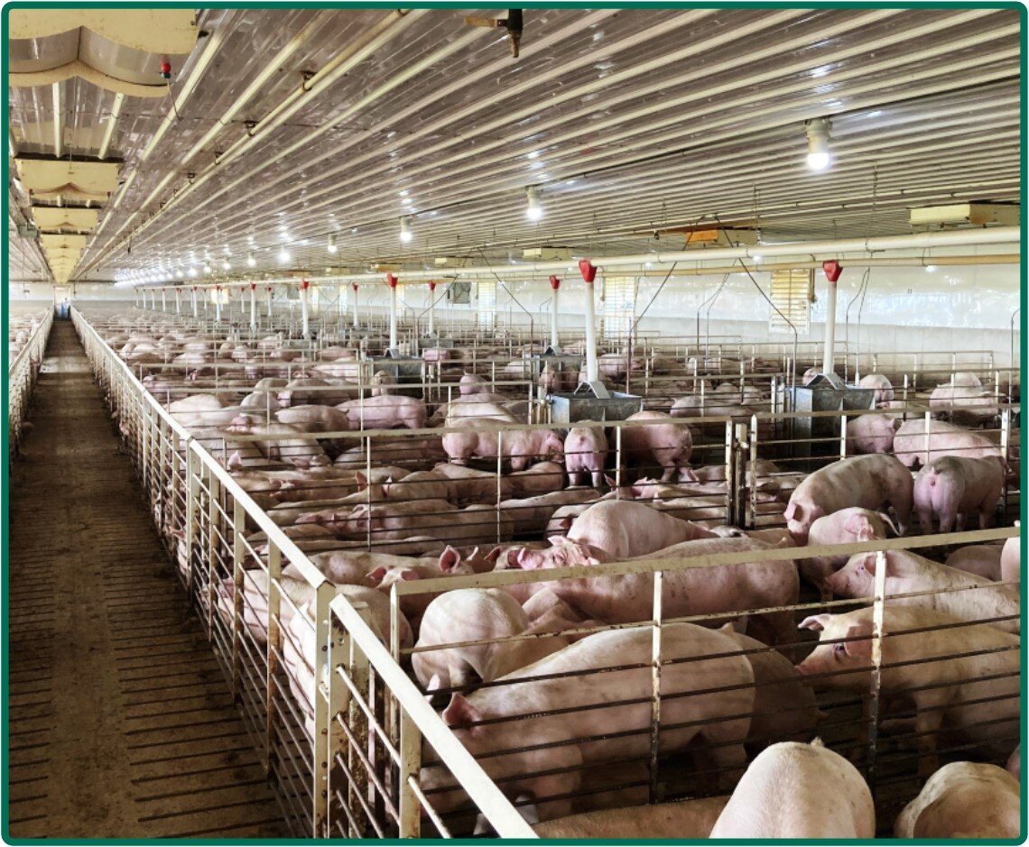 Image for Closed - Floyd Co., IA - 3.20 Ac., m/l (020-0525-04)