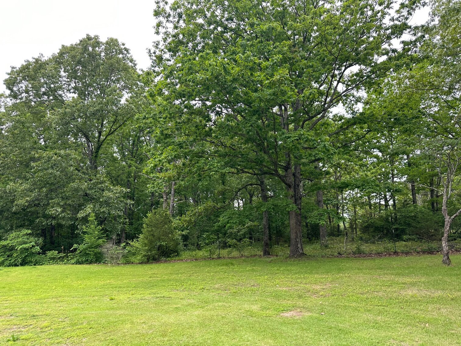 Image for Littleton Real Estate Auction