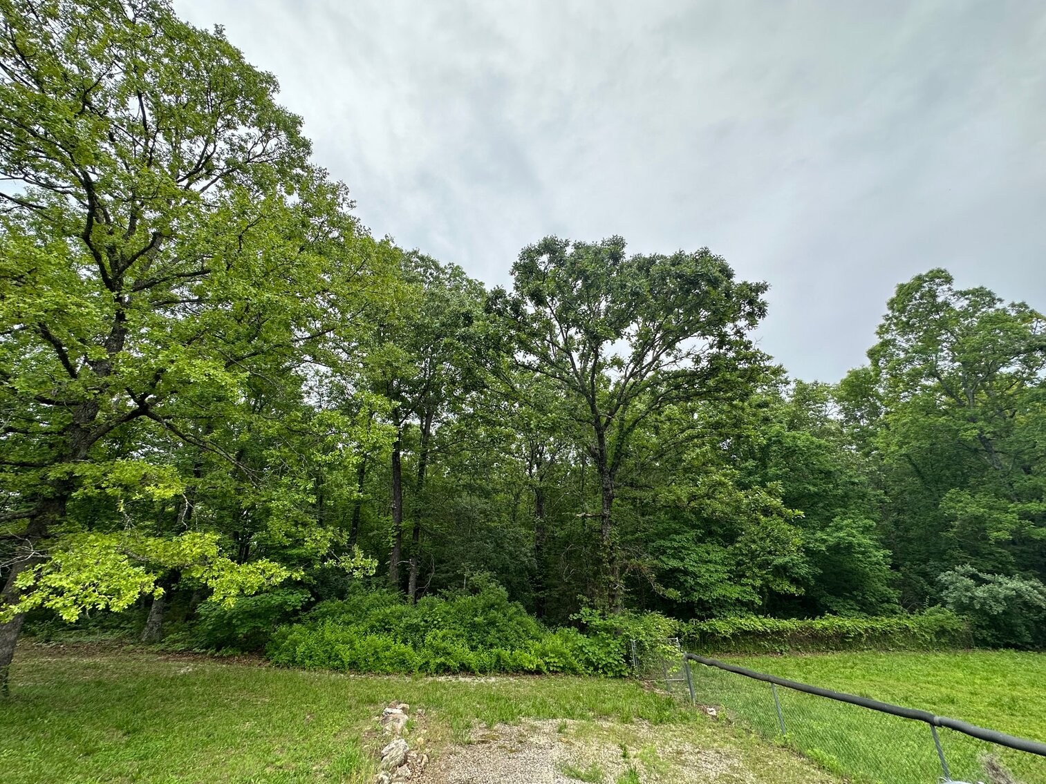 Image for Littleton Real Estate Auction