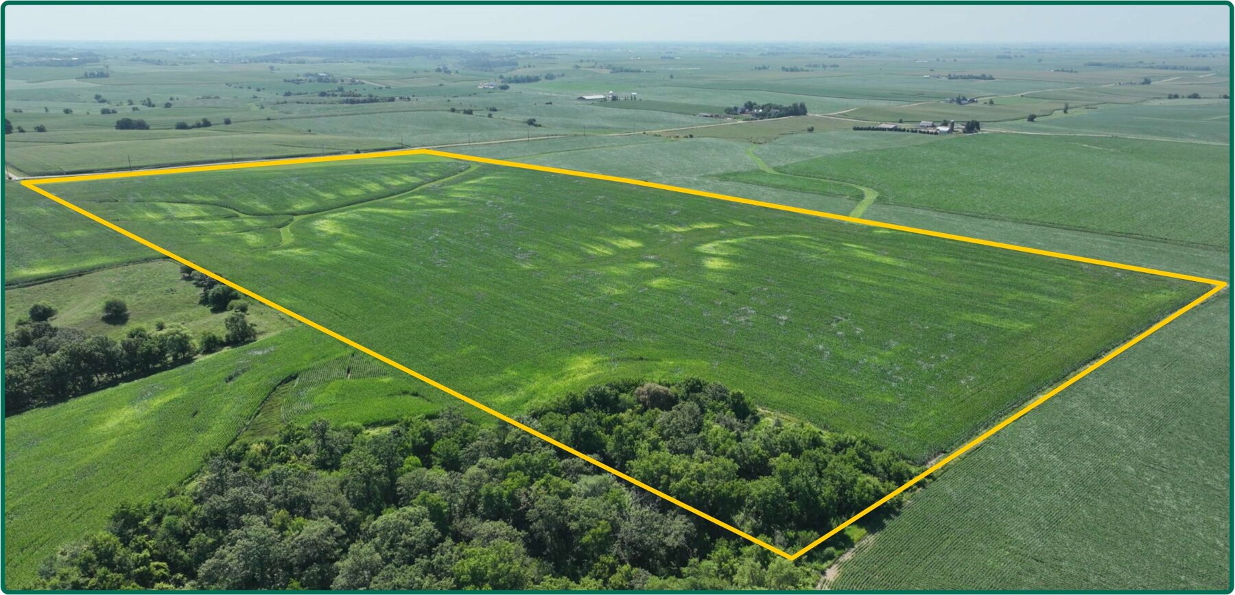 Image for Closed - Cedar Co., IA - 80.00 Ac., m/l (010-2666-01)