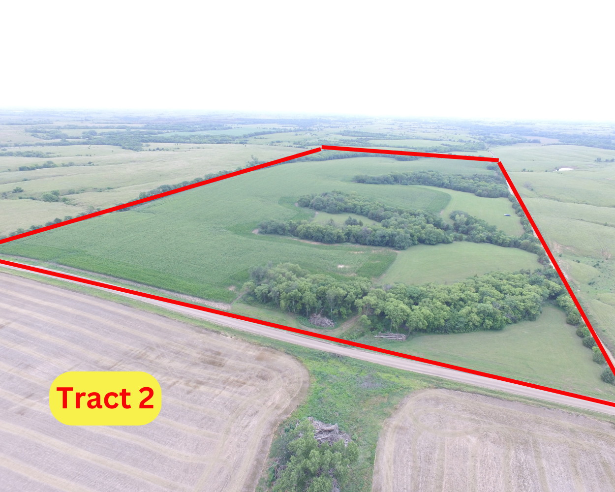 Tract 2: 80 +/- Acres