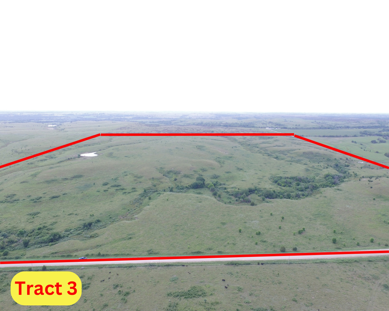 Tract 3: 160 +/- Acres 
