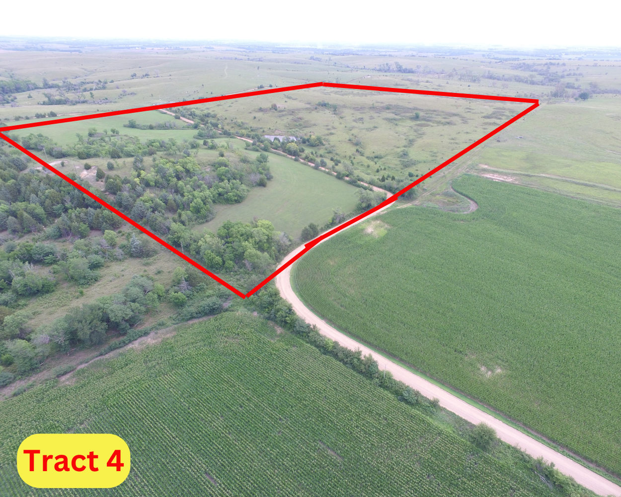 Tract 4: 80 +/- Acres