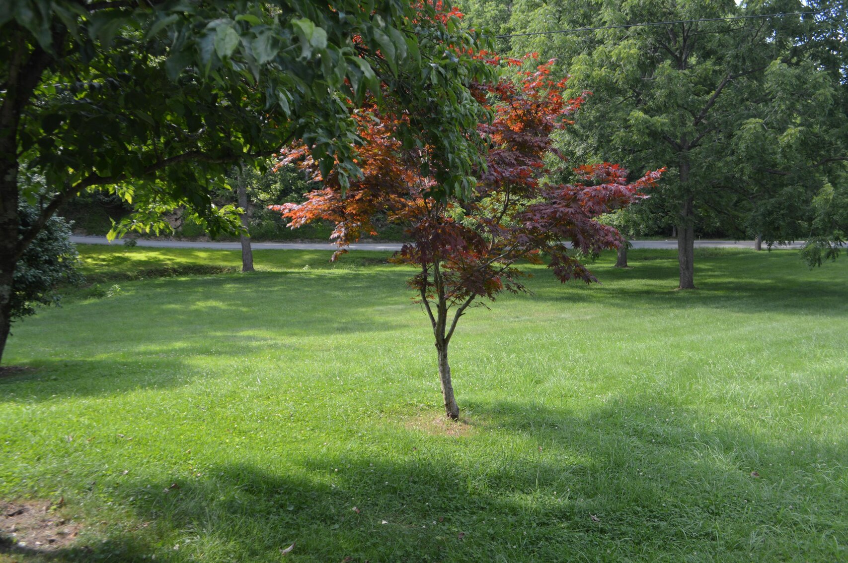 Image for SOLD $222,750 - 3 Bedroom Farmhouse on 2 Acres