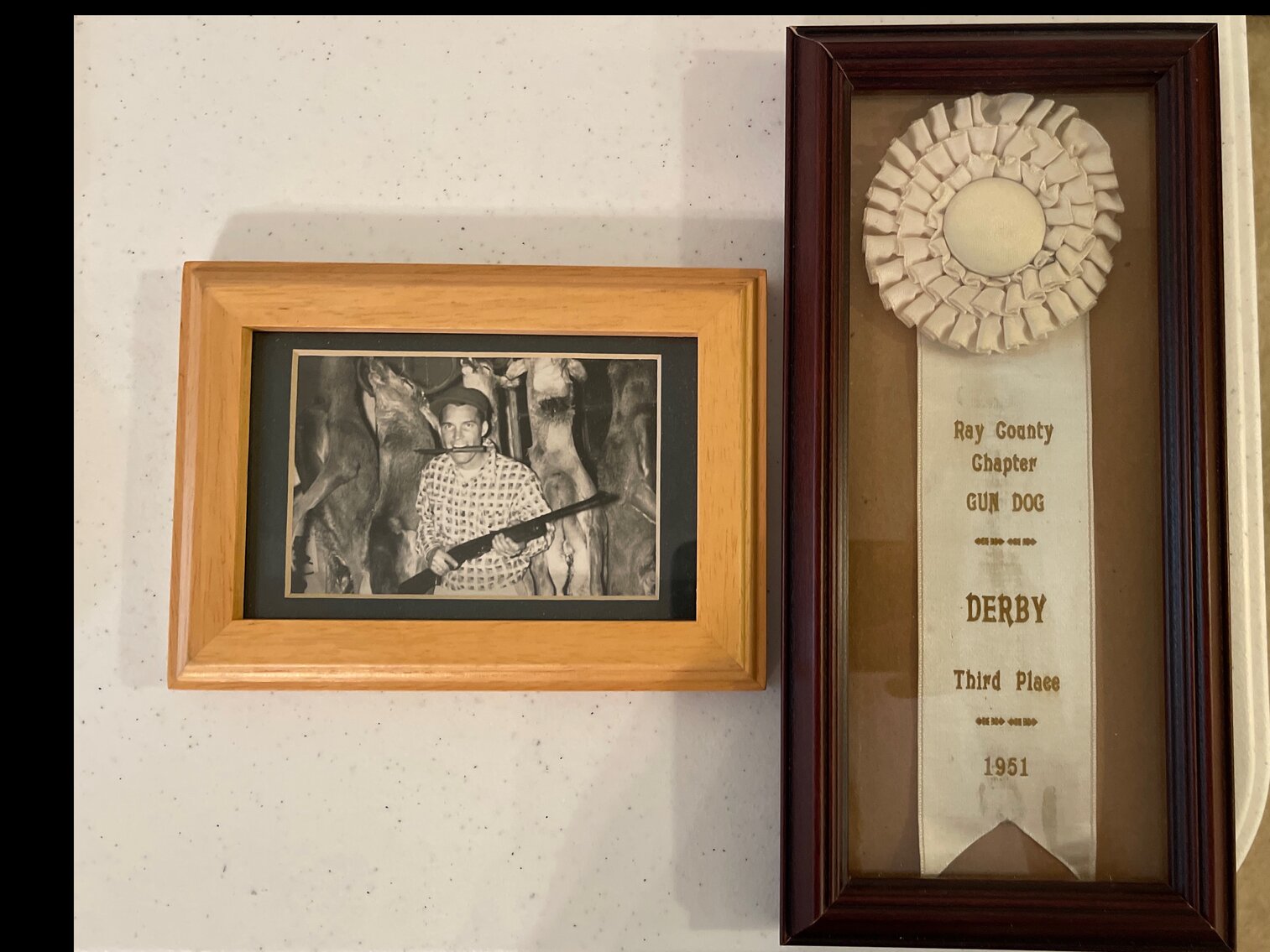 Ray County Chapter Gun Dog Derby 3rd Place Ribbon - 1951