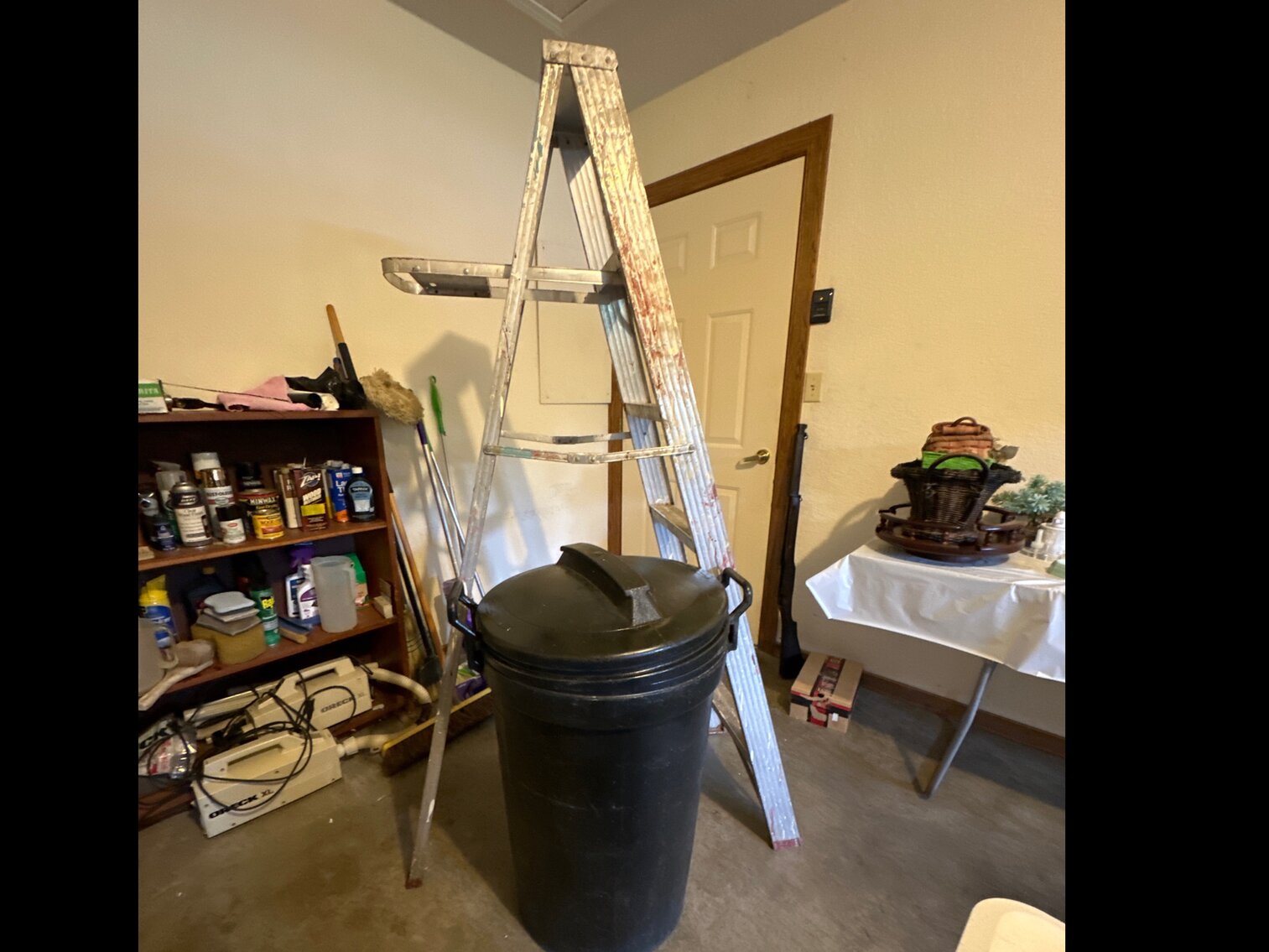 Trash Can and Ladder