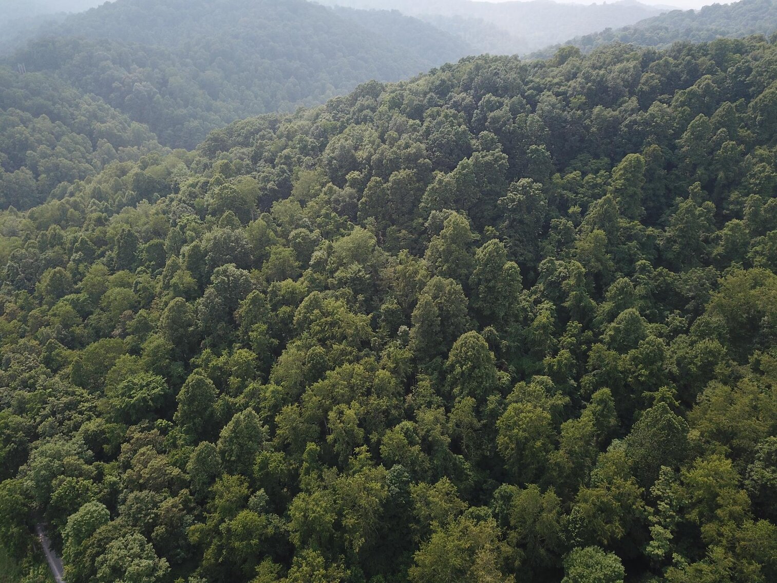 Image for SOLD $135,300 65 Acres of Prime Hunting Land with a Cabin