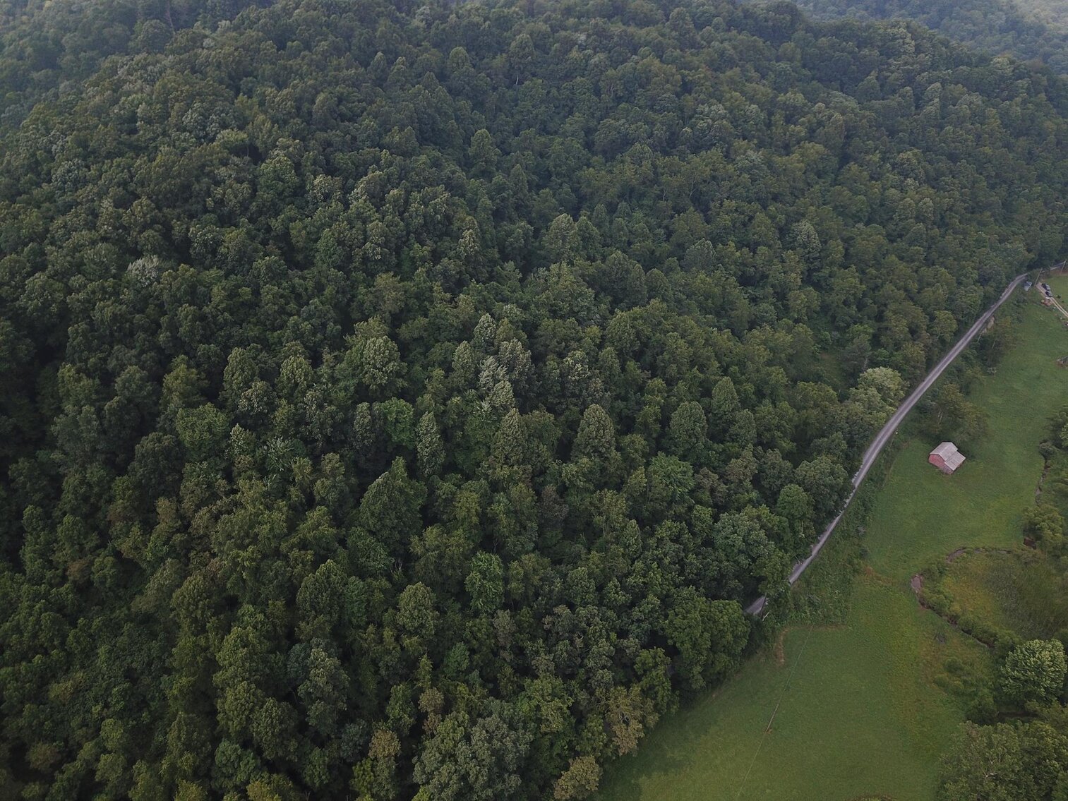 Image for SOLD $135,300 65 Acres of Prime Hunting Land with a Cabin