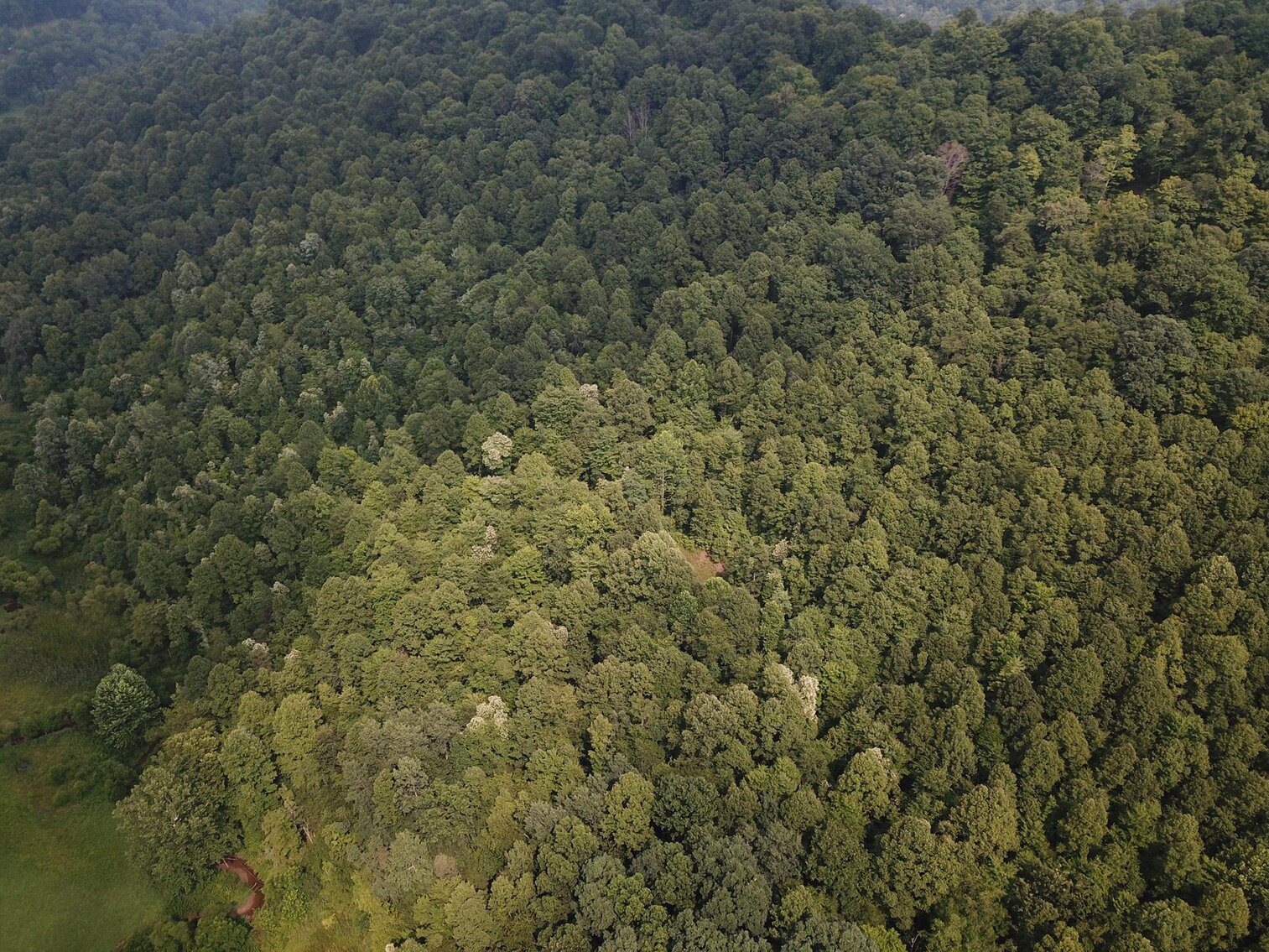 Image for SOLD $135,300 65 Acres of Prime Hunting Land with a Cabin