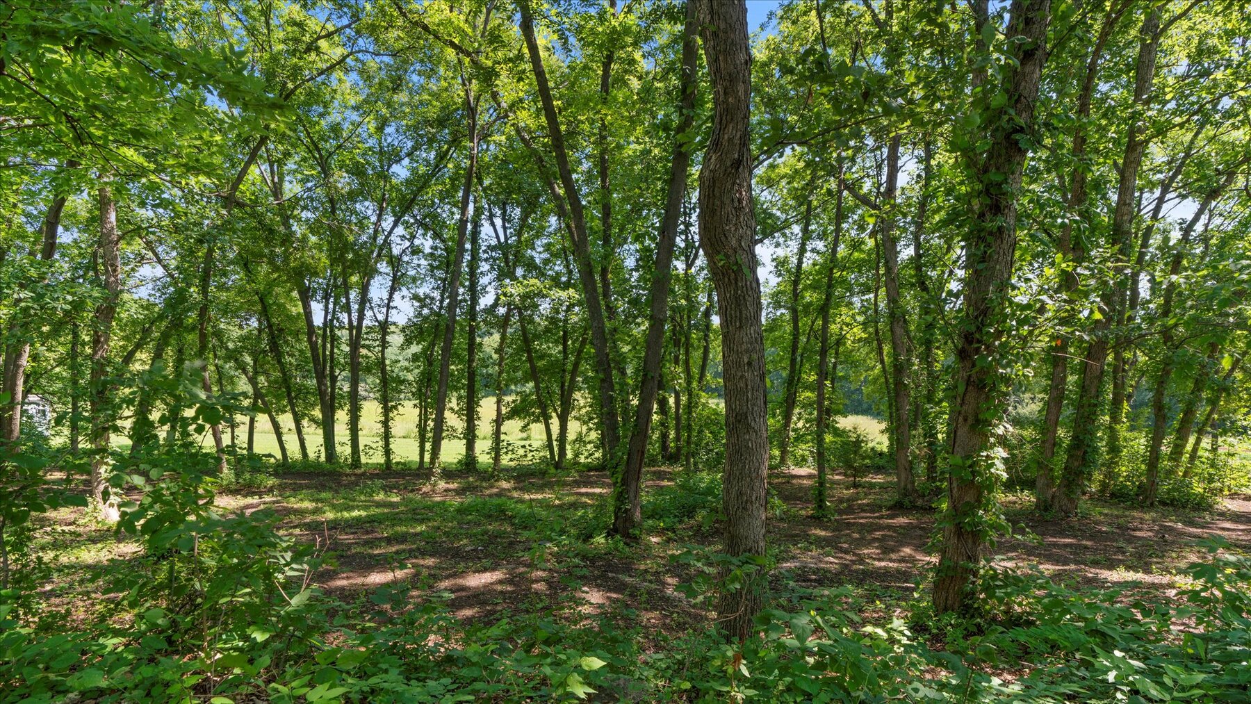 Image for SOLD - 19020 Hwy 273 Platte City, MO. 3.5+/- Acres