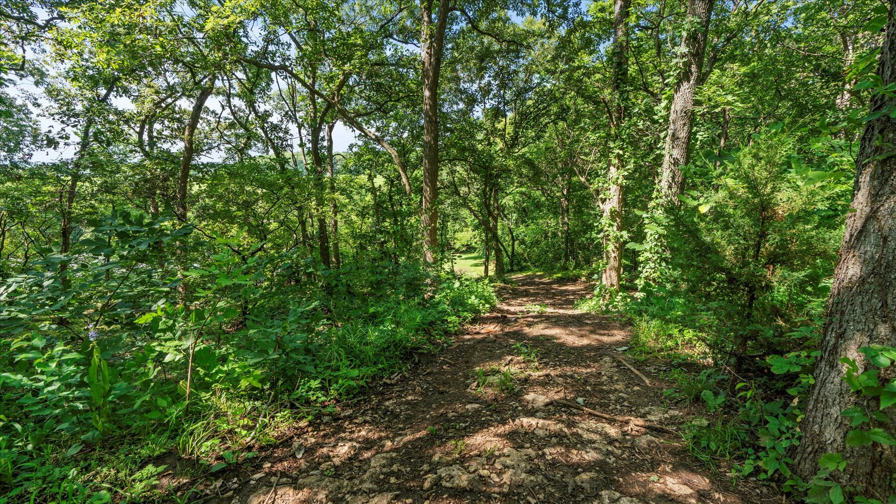 Image for SOLD - 19020 Hwy 273 Platte City, MO. 3.5+/- Acres