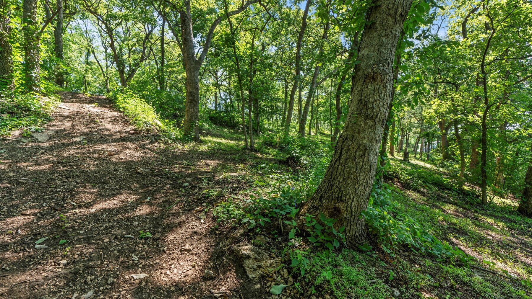 Image for SOLD - 19020 Hwy 273 Platte City, MO. 3.5+/- Acres