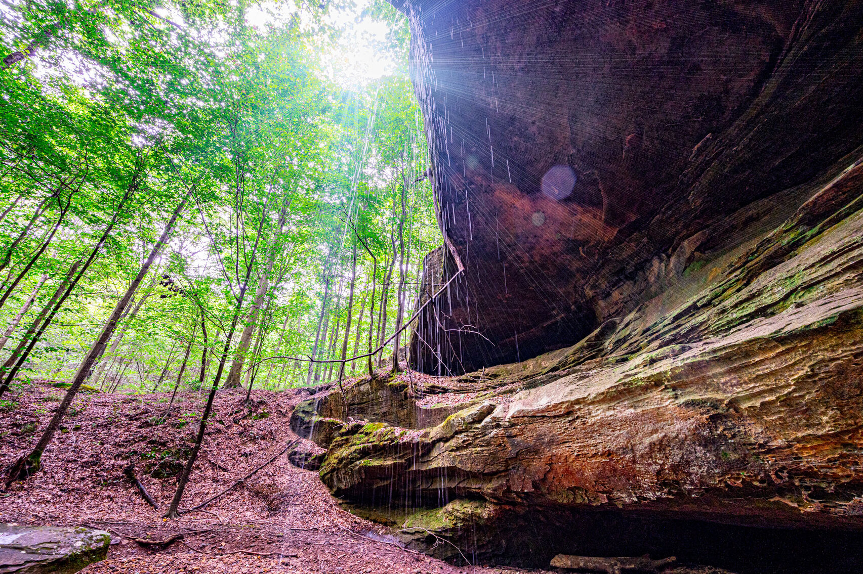 Image for 98.08 +/- Acres・Dunmor Deer Lick Road・Lewisburg・KY