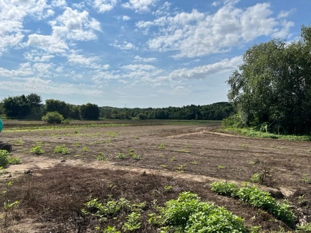 Image for Zimmerman Area Real Estate