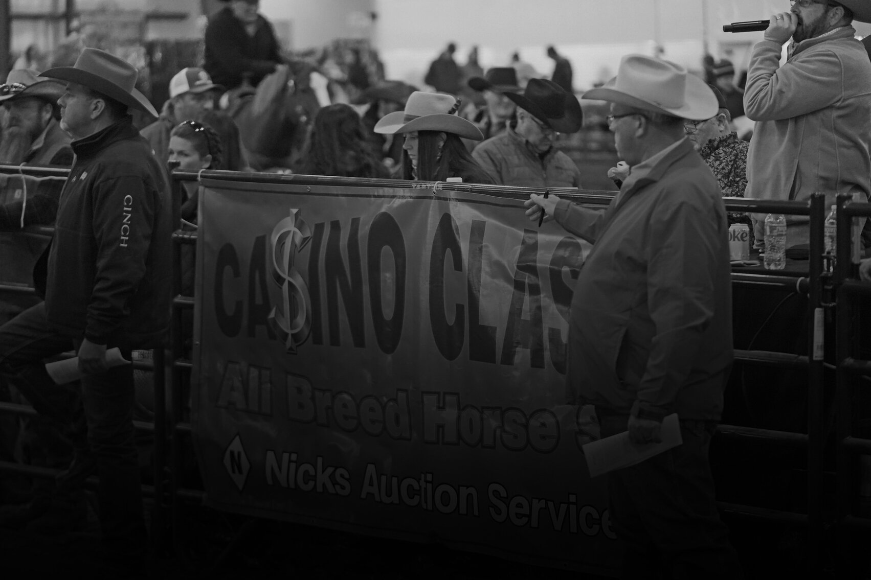 Casino Classic All Breed Horse Sale Oak Grove, Kentucky SATURDAY