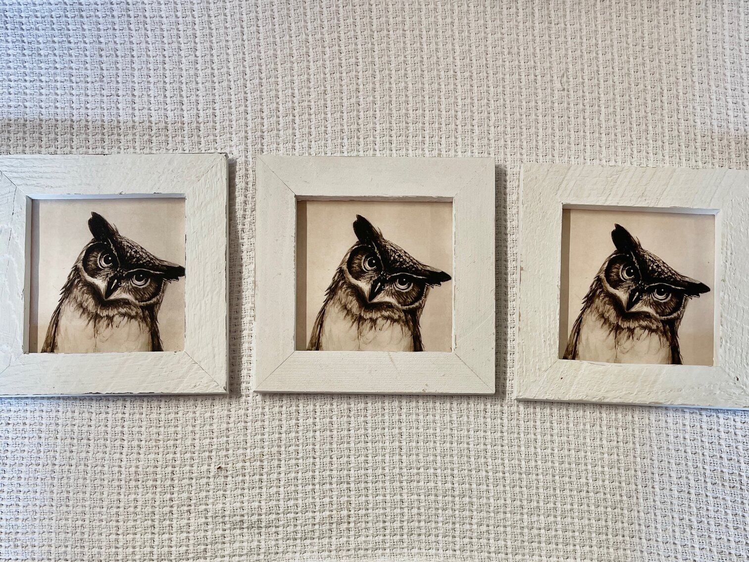 Framed Owl Pictures Set of 3