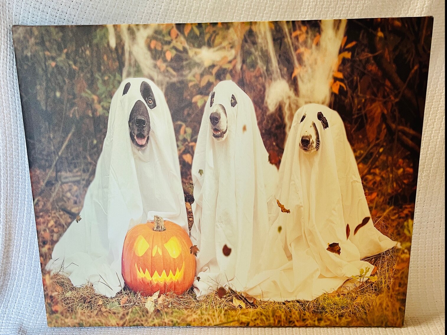 Ghost Dogs Canvas Lot 1 of 3