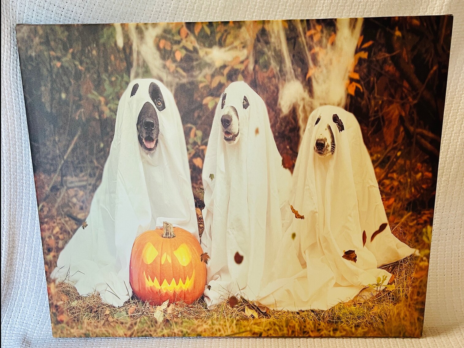 Ghost Dogs Canvas Lot 2 of 3