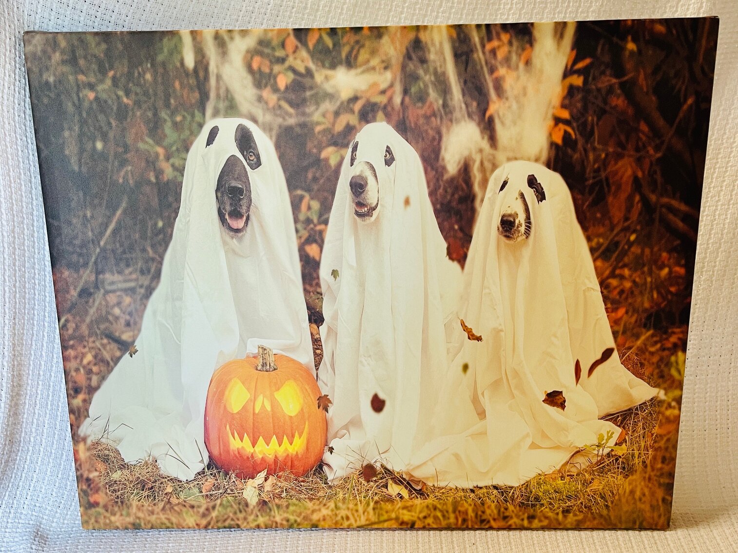 Ghost Dogs Canvas Lot 3 of 3