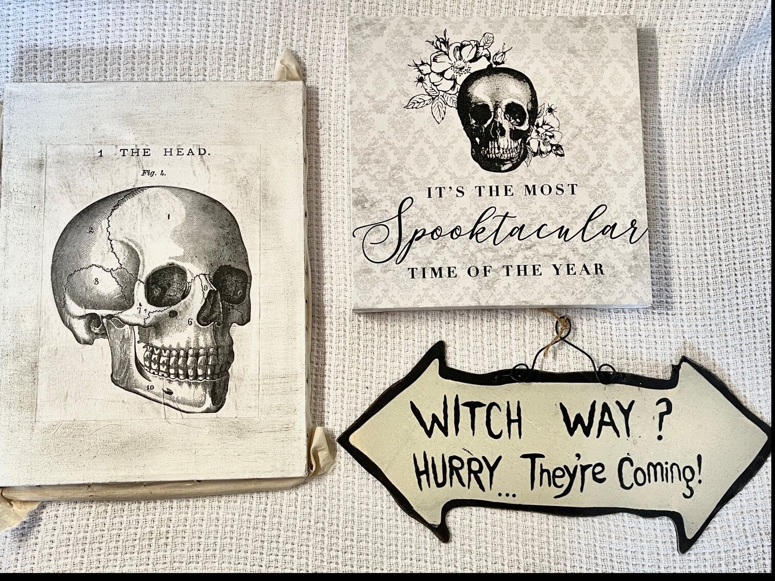 Skeleton and Witch Decor