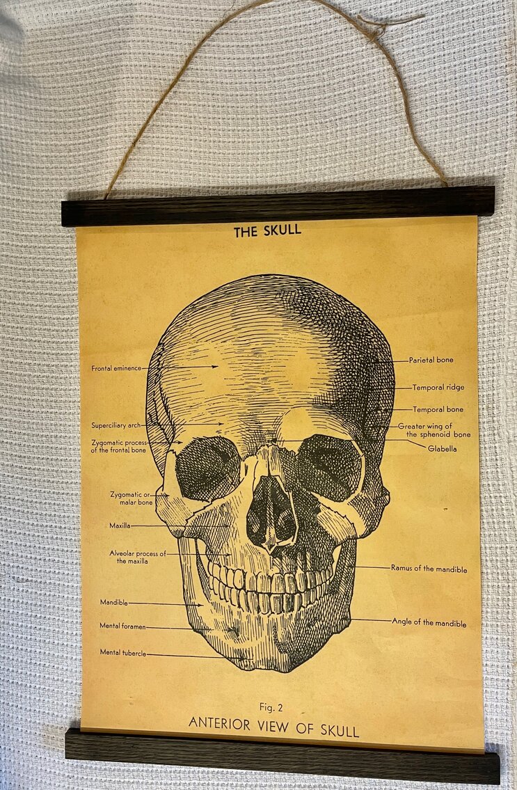 Vintage Look Skull Poster and Magnetic Frame Lot 3 of 3