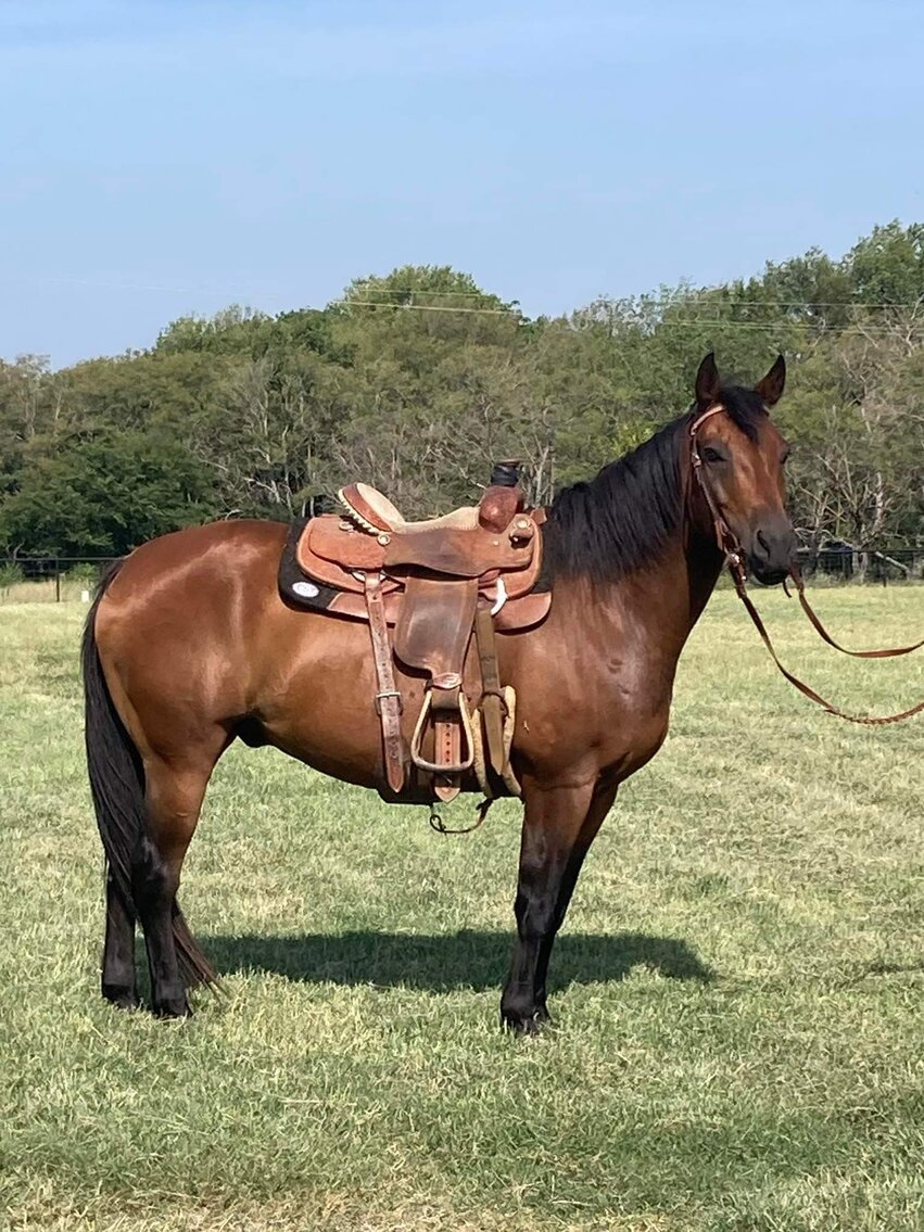 Image for Jones Livestock Auction THURSDAY August 3rd
