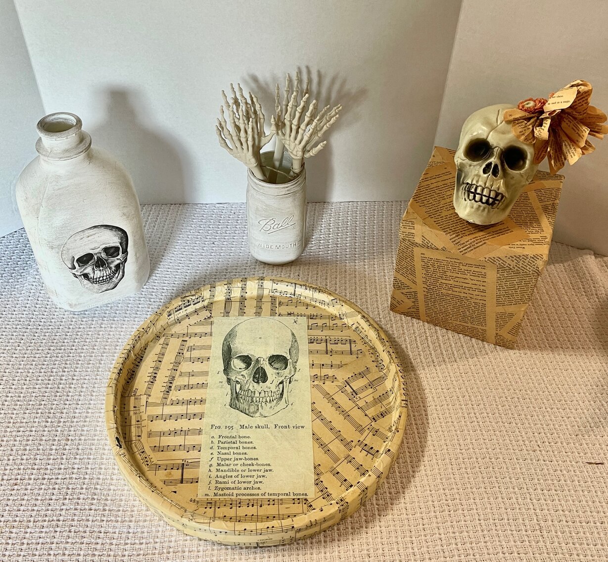 Vintage Look Skull Set